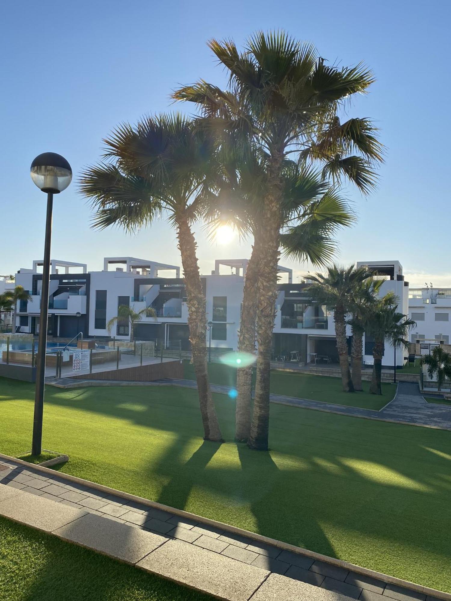 Punta Prima Oasis Beach Fase 9 Torrevieja Eksteriør billede